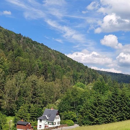 Ferienhaus Rosemarie Erlbach Vogtland المظهر الخارجي الصورة