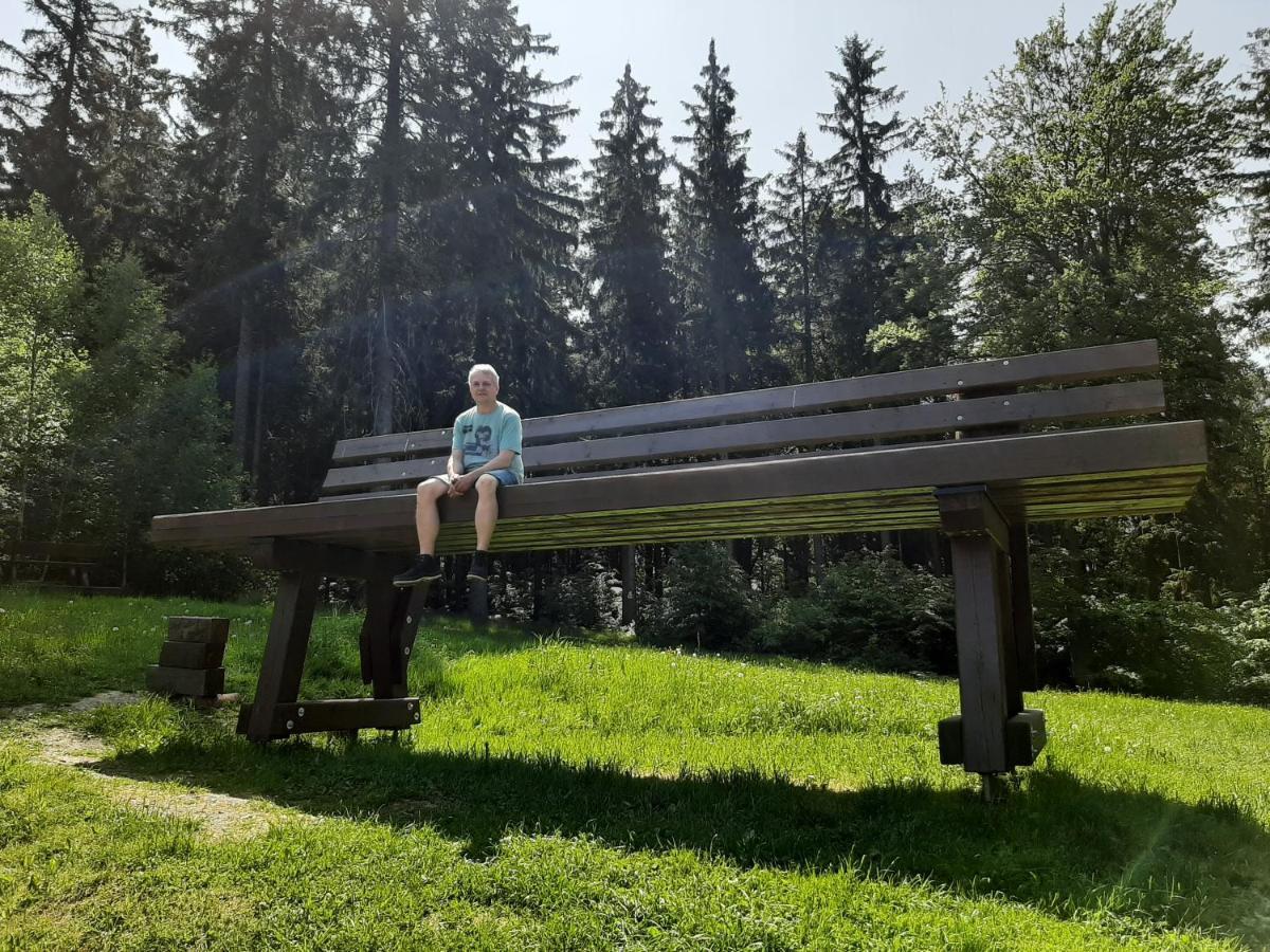 Ferienhaus Rosemarie Erlbach Vogtland المظهر الخارجي الصورة