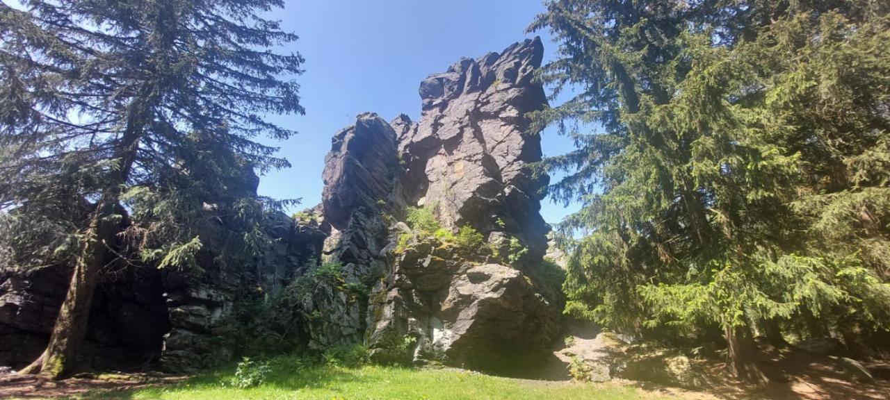 Ferienhaus Rosemarie Erlbach Vogtland المظهر الخارجي الصورة