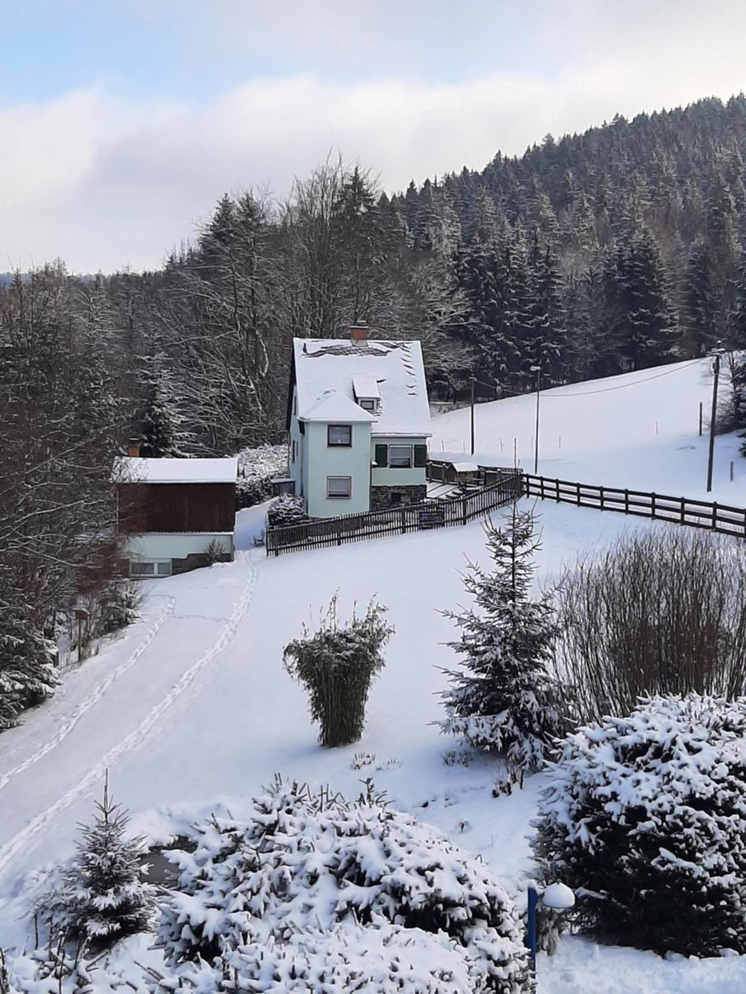 Ferienhaus Rosemarie Erlbach Vogtland المظهر الخارجي الصورة