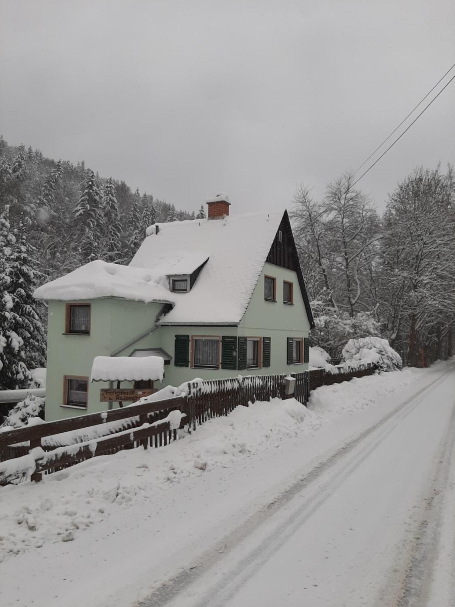 Ferienhaus Rosemarie Erlbach Vogtland المظهر الخارجي الصورة