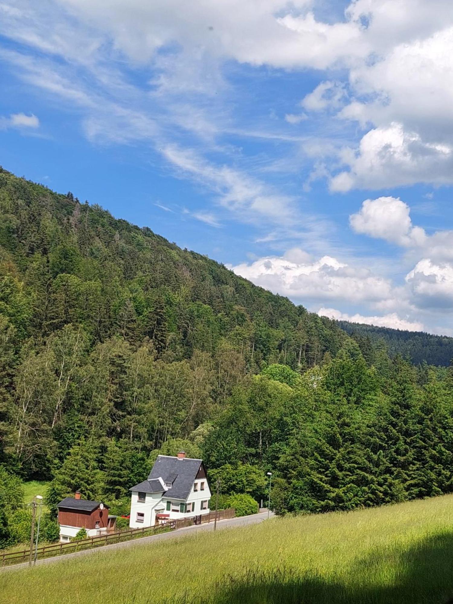 Ferienhaus Rosemarie Erlbach Vogtland المظهر الخارجي الصورة